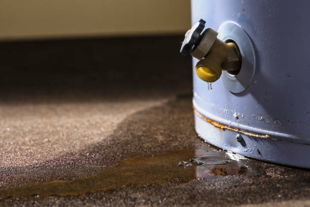 Best Residential water damage restoration  in Shell Lake, WI