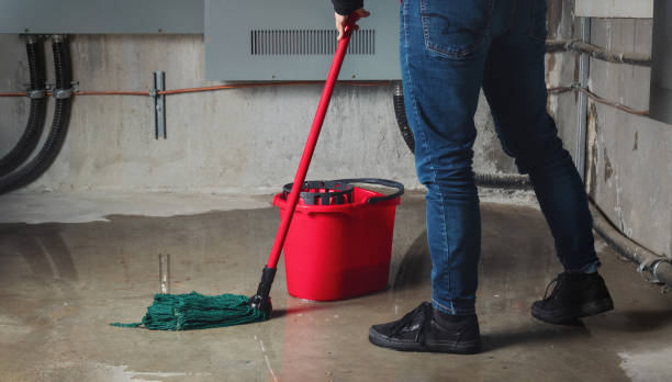 Best Flood damage cleanup  in Shell Lake, WI