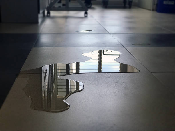 Best Water damage contractors near me  in Shell Lake, WI