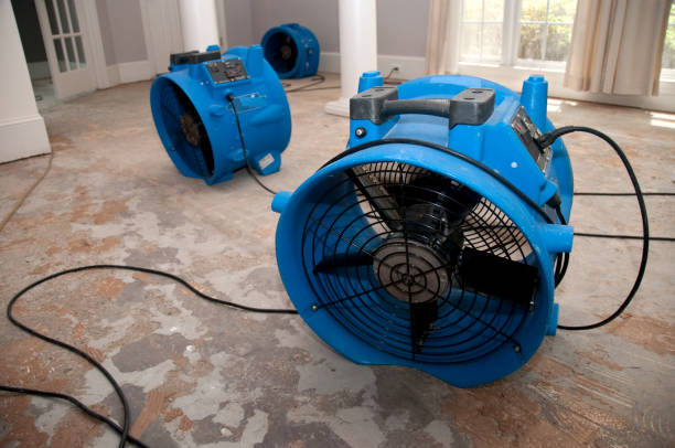 Best Water damage restoration mold remediation  in Shell Lake, WI