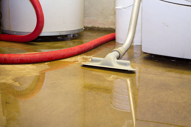 Best Carpet water damage restoration  in Shell Lake, WI