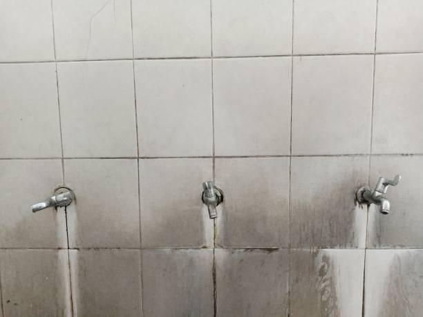 Best 24-hour water damage restoration  in Shell Lake, WI