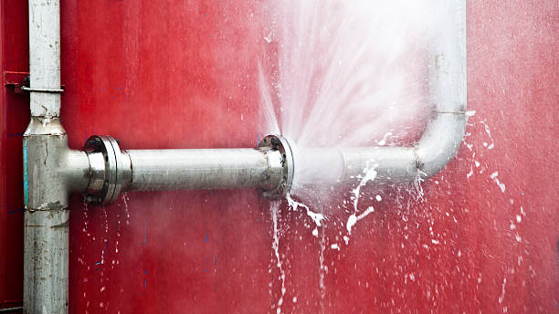 Best Flooded house restoration  in Shell Lake, WI