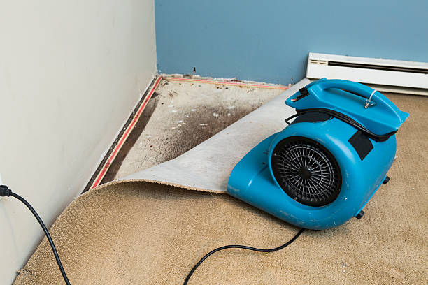 Best Fire Damage Restoration  in Shell Lake, WI